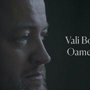 Vali Boghean Oameni