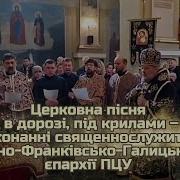 Лелеки В Дорозі А Під Крилами Море