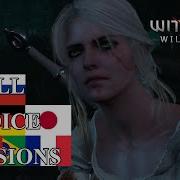 Witcher 3 Different Languages