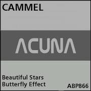 Beautiful Stars Camel