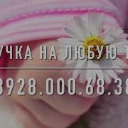 Песня Озвучка На Чеченском На День Рождение Для Племянницы