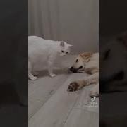 Зря Мы Его Кормим