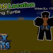 Urban Turtle