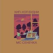 Учитель Танцев Мc Сенечка