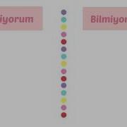 Biliyorum Bilmiyorum Şarkısı