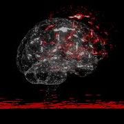 Mike Redfields Inside Your Mind Video Edit