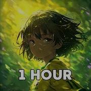 Passo Bem Solto 1 Hour