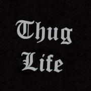 2 Pac Ft Ice Cube Thug 4 Life