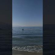 Море Волнуется Раз Тик Ток
