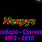 Некруз Сунчев 2015