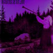 Burzum Synth Cover