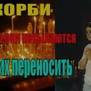 Скорби Для Чего Они Посылаются И Как Их Переносить