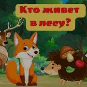 Кто Живёт В Лесу Детская Игра Мультфильм Про Животных