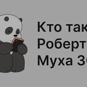 Я Роберт Муха 303