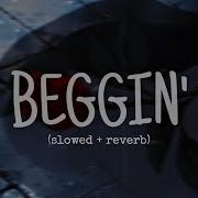 Beggin You Daycore