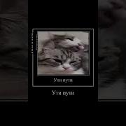 Ути Пути Что За Уши Что За Носик