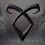 Ruelle This Is The Hunt