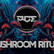 Psytrance Alvintep Mushroom Ritual