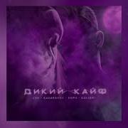 Kavabanga Depo Kolibri Дикий Кайф