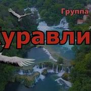 Группа Курнуц Журавли