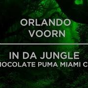 In Da Jungle Orlando Voorn