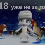 Зооб Зайка С Днём Свадьбы