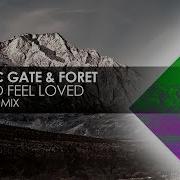 Need To Feel Loved Cosmic Gate Forêt