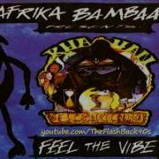 Feel The Vibe Afrika Bambaataa