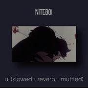 U Niteboi Muffled