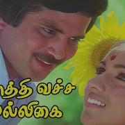 Poththi Vacha
