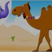 Appuseries Hindi Camel