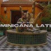 Snik Ft Salva Dominicana Latina Official Music Video