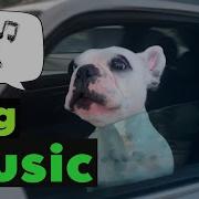 Doggy Remix Meme