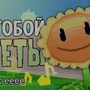 За Тобой Цветы Но Это Рок