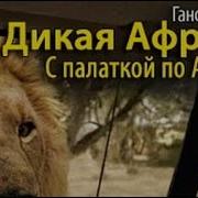 Ганс Шомбург Дикая Африка 1