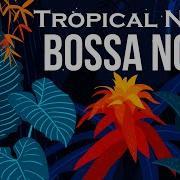 Relax Music Tropical Night Bossa Nova Smooth Bossa Nova Guitar