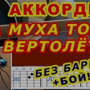 Муха Тоже Вертолет На Гитаре