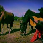 El Kado Guitariste El Amor De Mama