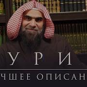 Нашид Про Гурий