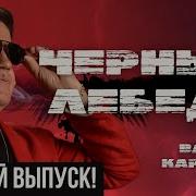 Черный Лебедь Карасев