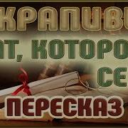 Брат Которому Семь