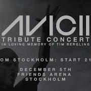 Homenaje A Tim Bergling Tributo A Avicii