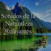 Sonidos De La Naturaleza Pt 1