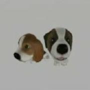 Dog Island Intro