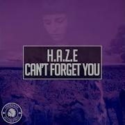 Haze Cant Forget You