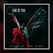 End Of You Bird On The Wire