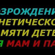 Возрождение Генетической Памяти Детей Для Мам И Пап