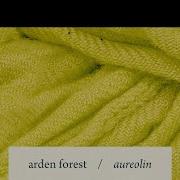 Arden Forest Alabaster