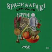 Space Safari Original Mix Tamborder