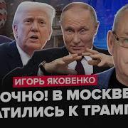 Мир В Котором Ничего Нет